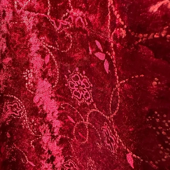 Vintage Crushed Velvet Babydoll Top Fairy Grunge Size 26 28 Red Floral Sparkly - Picture 9 of 13